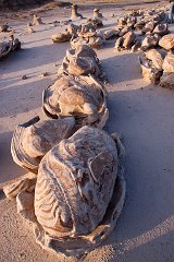 18_Bisti Wilderness__10